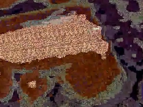 Dick videotape korean skype gay porn