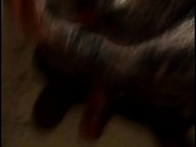 JAPANESE WOMAN chinese porn gay big ass